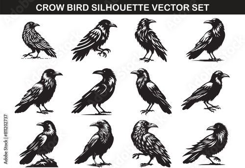 Crow Bird Silhouette Vector Illustration set ©  designermdali