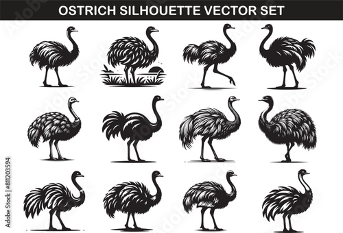 Ostrich Silhouette Vector Illustration set