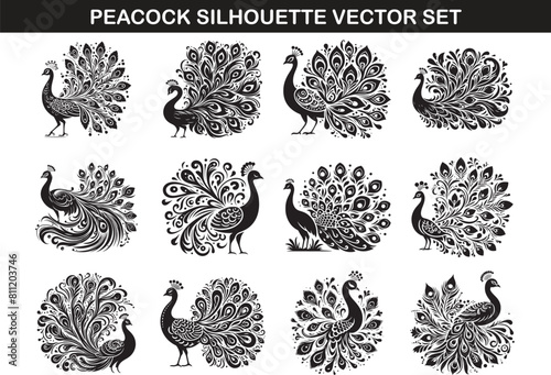 Peacock Silhouette Vector Illustration set