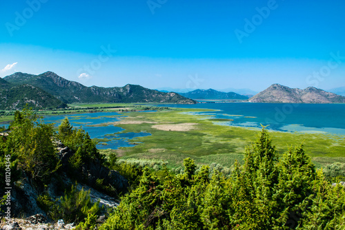 Vidikovac Godinje. Beautiful summer landscape of Skadar Lake lake partially overgrown with green grass.  Montenegro.