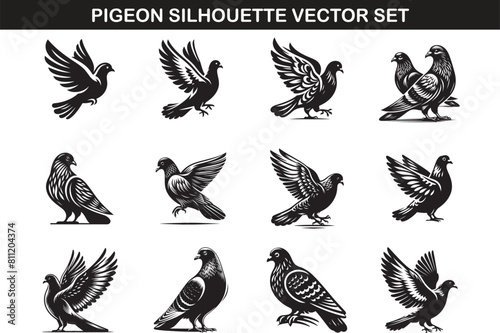 Pigeon Silhouette Vector Illustration set ©  designermdali