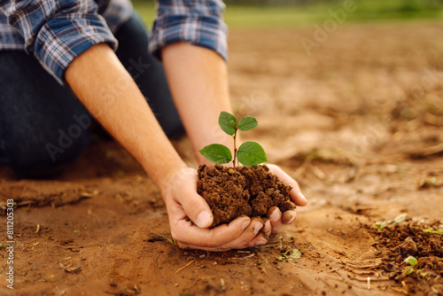 Handful of soil with small green plant, closeup. Farmer checking soil health. New life of young green plant. Organic gardening, agriculture.