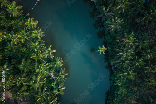 Beautiful backwaters surrounded with coconut trees, Kerala aerial landscape image