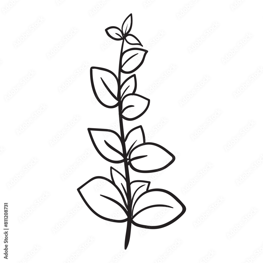 Fototapeta premium Wildflowers, Floral, Wildflower, flower sketch, Wildflowers, Bouquet, minimalist bouquet, botanical, field plants, floral leaves, branches