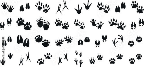 Animals paw prints. Cartoon mammal footprints, black bird foot. Wild animal feet silhouette.