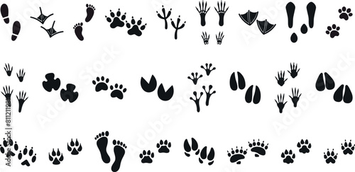 Animals paw prints. Cartoon mammal footprints, black bird foot. Wild animal feet silhouette. photo