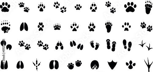 Animals paw prints. Cartoon mammal footprints, black bird foot. Wild animal feet silhouette.