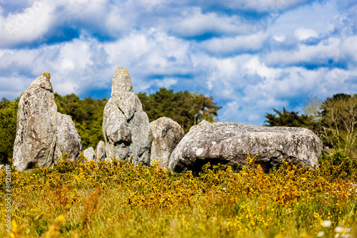 Les alignements de Carnac photo