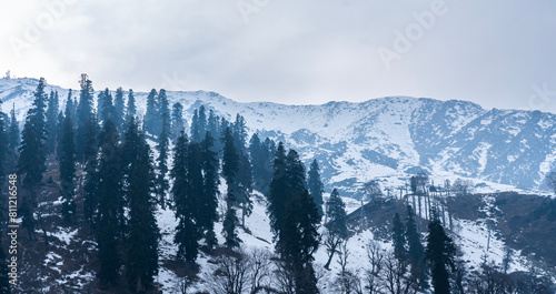 Photography Kashmir nature landscape scenery, Winter snow mountain view with pine trees, Ind