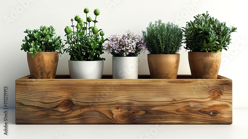 A wooden box containing five potted plants. The plants are all different types, with different colored leaves and flowers. The box is made of natural wood. © K-MookPan