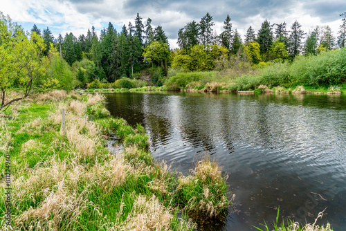Sammamish River In Kenmore 3