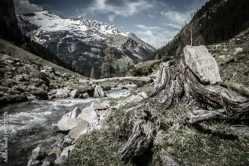 Hochgebirgstal in den Alpen mit Wildbach , farbreduziert