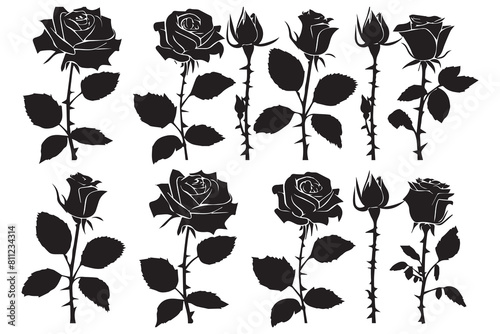 Set of black silhouettes of decorative fresh blossoming rose with steam and leaves. Hand drawn outline flower icon. Vector monochrome illustrations isolated on white background