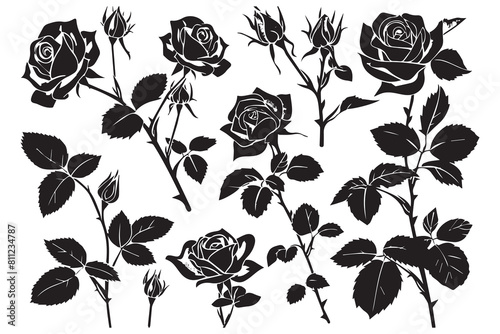 Beautiful rose flowers silhouette set isolated on white background