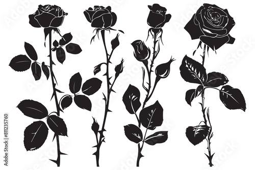 Rose silhouettes vector illustration. Black buds and stems of roses stencils isolated on white background