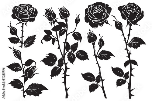 Rose silhouettes vector illustration. Black buds and stems of roses stencils isolated on white background