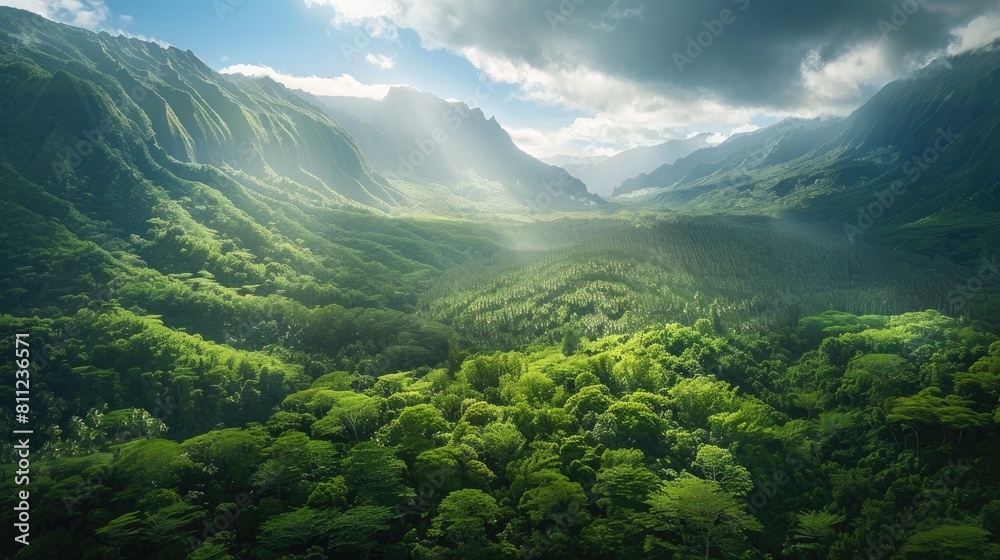 Naklejka premium The breathtaking aerial perspective showcases a lush forest nestled among majestic mountains against a backdrop of serene natural beauty