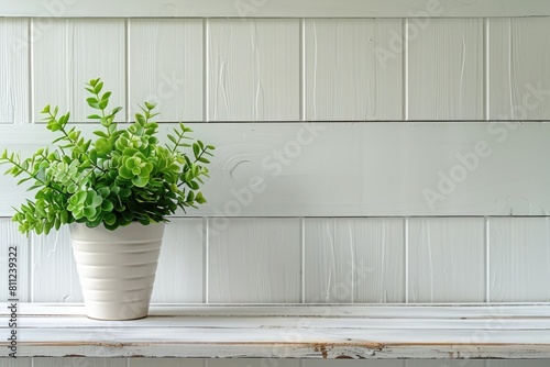 Green Plant on White Ship Lap Shelf â€“ Botanical Home Decor for Interiors and Windowsills
