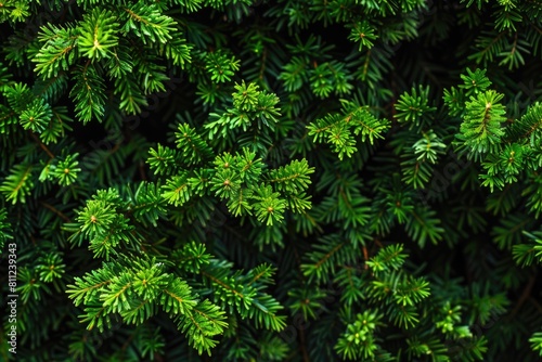 Evergreen Content  The Message That Stands the Test of Time in Seasonal Marketing