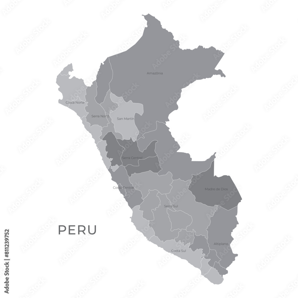 Fototapeta premium National Country Map with Regions, States and Flag in Body