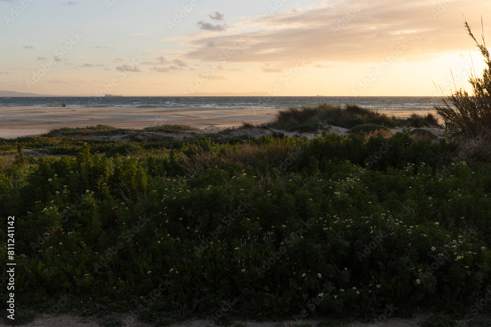 Spanish coastline at sunset with beach and summer vegetation with person walking on sand next to dunes on the atlantic ocean