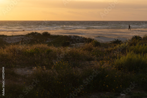 Spanish coastline at sunset with beach and summer vegetation with person walking on sand next to dunes on the atlantic ocean photo