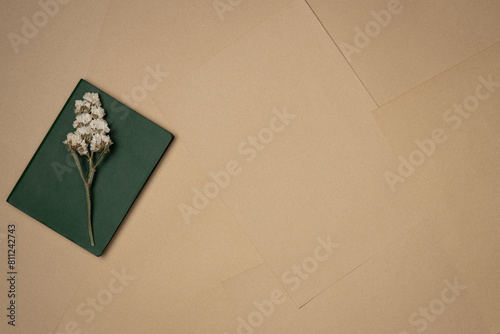 Flower on a notebook on sheets of paper background from above. Vintage. Copy space