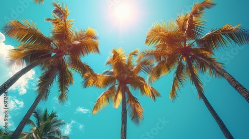 Sunny Tropical Scene  Palm Trees Against Clear Blue Sky on a Bright Day