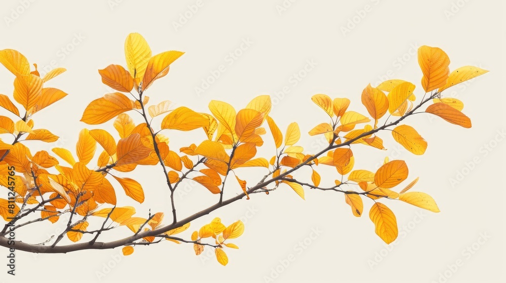 Fall tree branch with yellow leaves Fall tree branch with yellow leaves