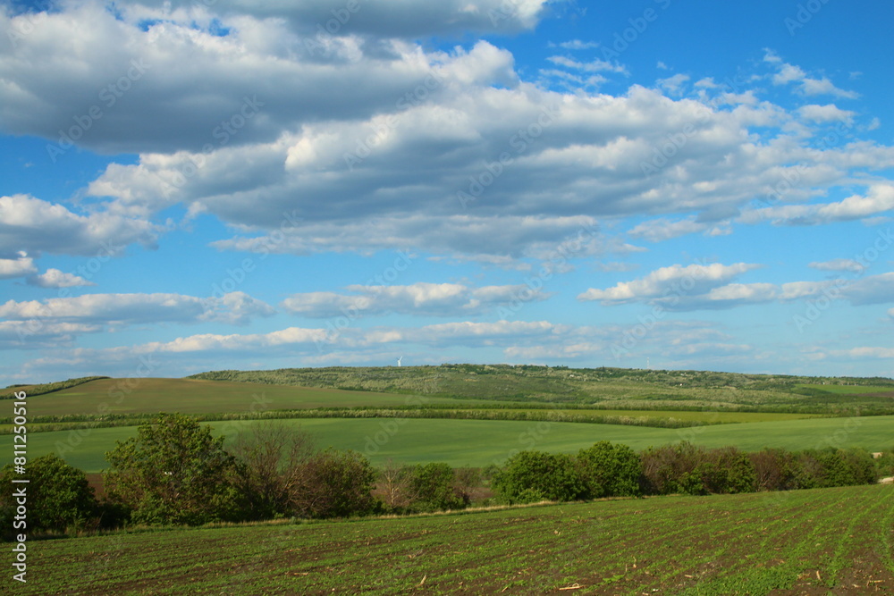 A grassy field with trees and blue sky A grassy field with trees and blue sky
