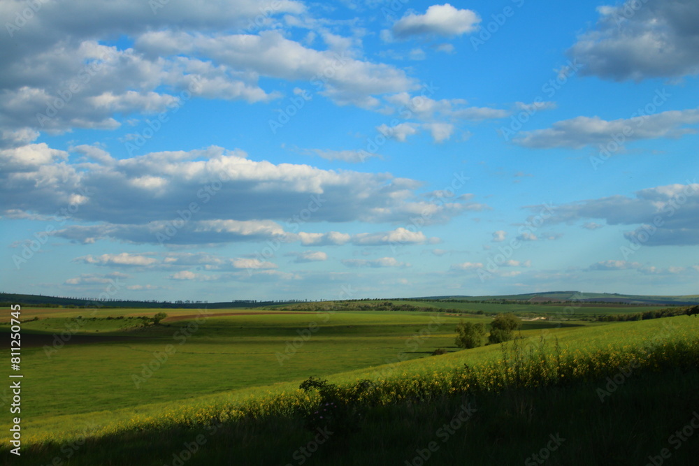 A grassy field with a blue sky A grassy field with a blue sky