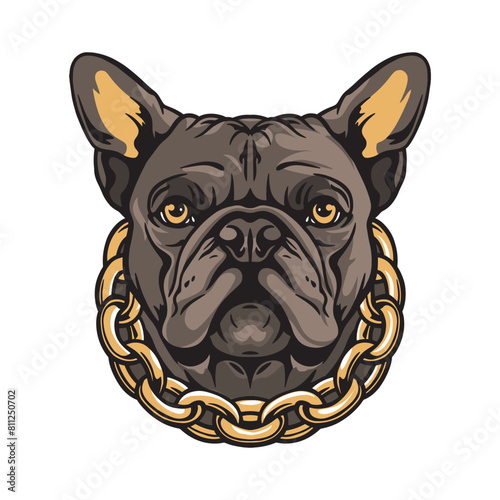 French bulldog with a gold chain. vector illustration on white background