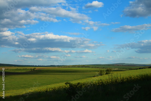 A grassy field with a blue sky