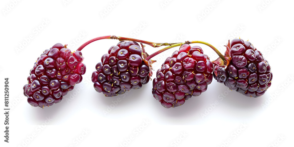 Three ripe mulberries arranged neatly on a white background Three ripe mulberries arranged neatly on a white background