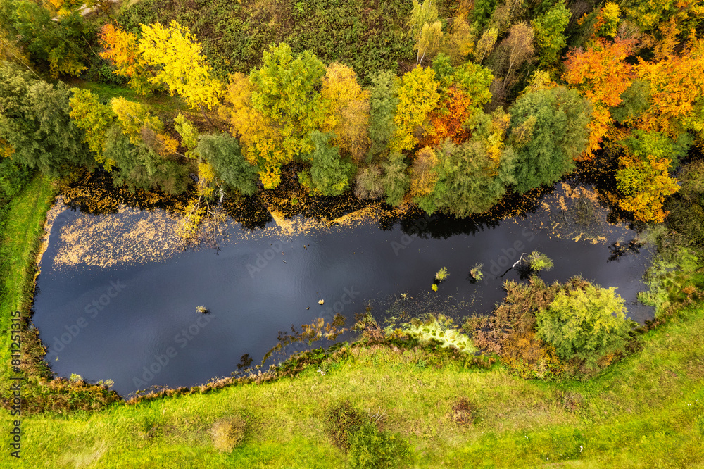A drone view of the lake in the woods. An aerial view of an autumn forest. Pond among the trees. Top view. Thuringia, Germany.