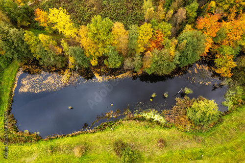 A drone view of the lake in the woods. An aerial view of an autumn forest. Pond among the trees. Top view. Thuringia, Germany.