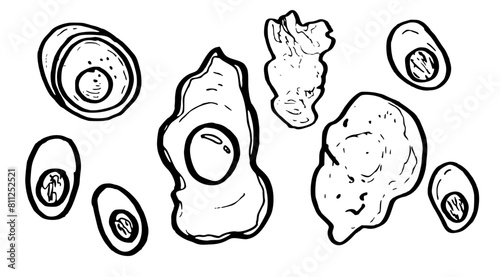 Hand drawing styles with egg menu. Omelette, boiled, fried, poached egg. Doodle line art sketch vector illustration
