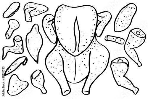 Hand drawn chicken meat set, uncooked chicken. Doodle line art sketch vector illustration
