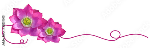 line art lotus flower for a vesak day