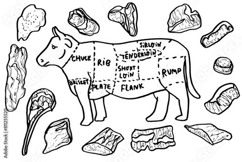 Beef cuts doodle hand drawn set. Template menu design for restaurant or cafe, butcher shop. Vector illustration 