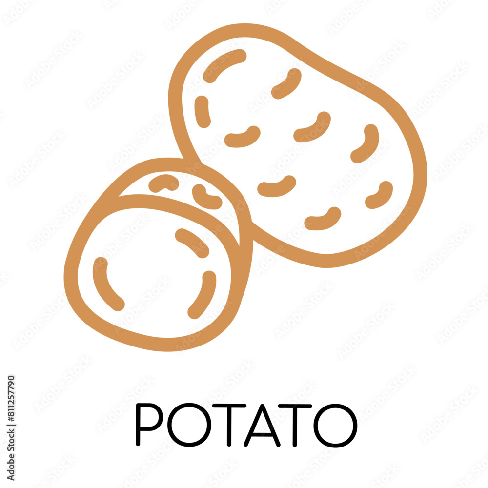 Potato fat line vegetable icon, vector illustration Potato fat line vegetable icon, vector illustration