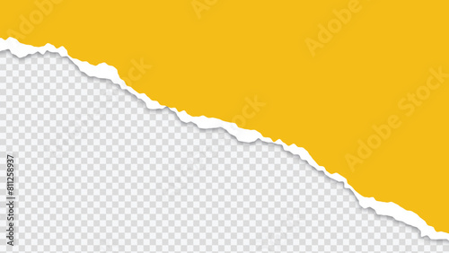 Torn Paper on Transparent Background