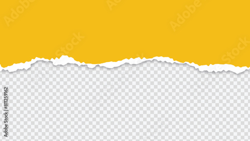Torn Paper on Transparent Background