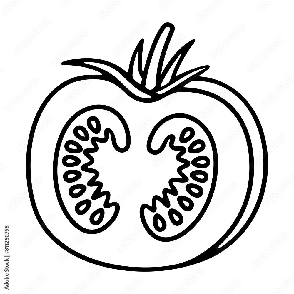 Tomato and tomatoes, love apple. Vegetable, fruit, food and meal, illustration Tomato and tomatoes, love apple. Vegetable, fruit, food and meal, illustration