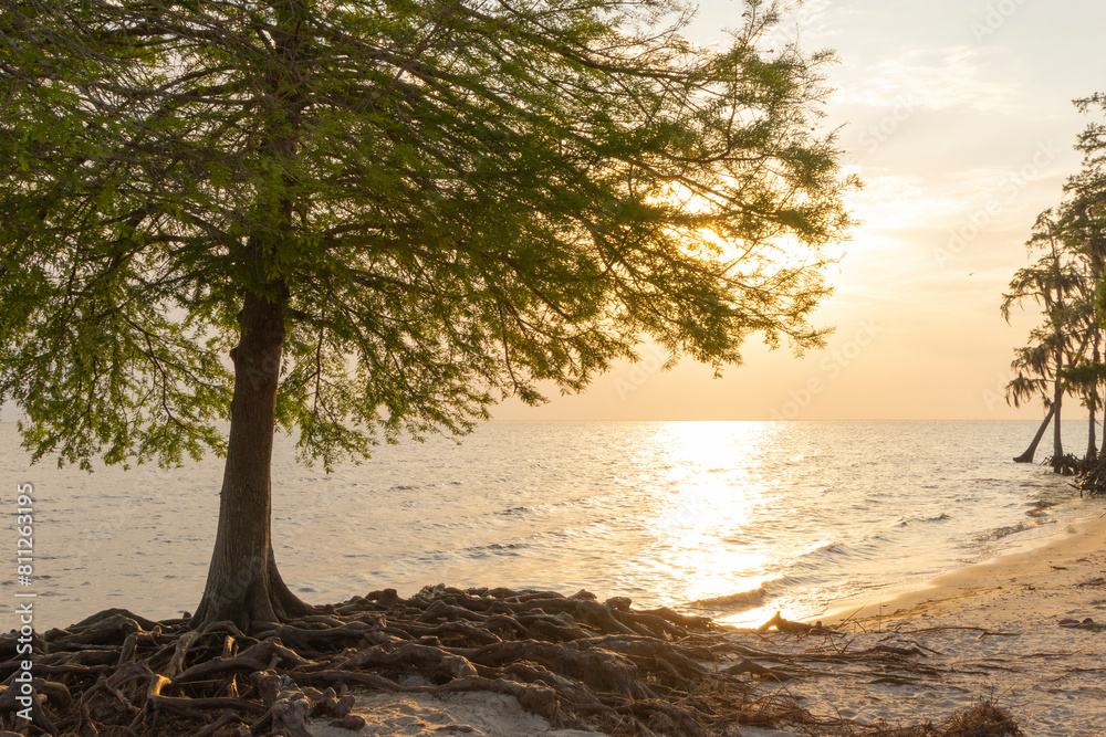 A scenic sunset view of Lake Pontchartrain in Louisiana. A scenic sunset view of Lake Pontchartrain in Louisiana.