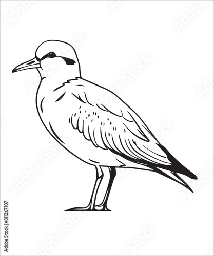 Willet Bird Victor Design