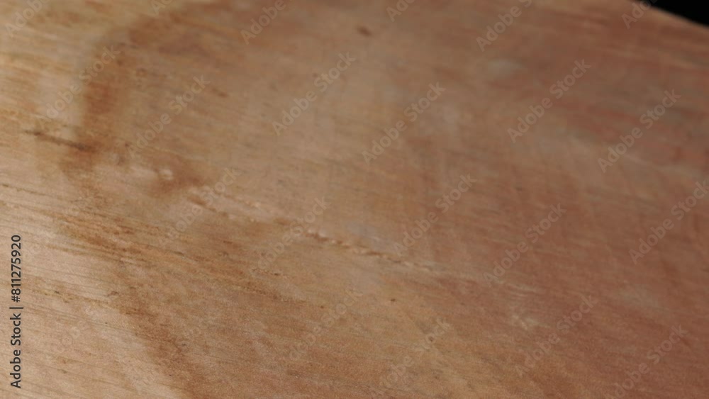 Structure of a stump fibre and bark from a saw cut tree trunk. Plant based biomass material used as fuel. Close up view of fiber and cork texture of real wooden tree cross cut. Organic background.