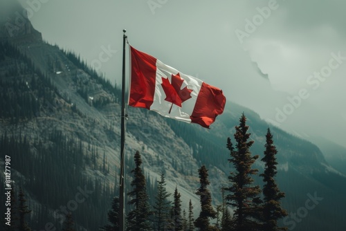 Canadian Flags Overlooking Misty Mountain Landscape
