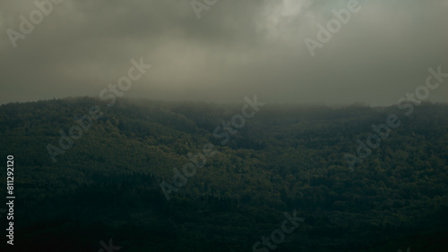 Beautiful landscape of the forest in the fog. View from above.
