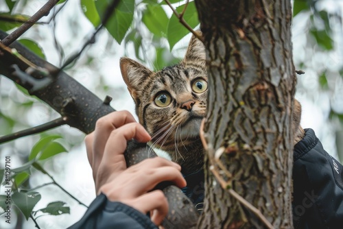 A person, likely a police officer, holding a cat up to a tree, possibly rescuing it from being stuck, A police officer helping to rescue a cat stuck in a tree